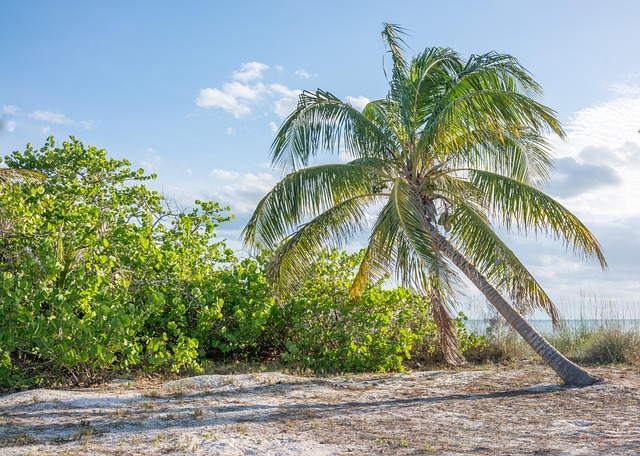 Addiction Treatment Palm Beach: Resources, Options, and Support for Recovery