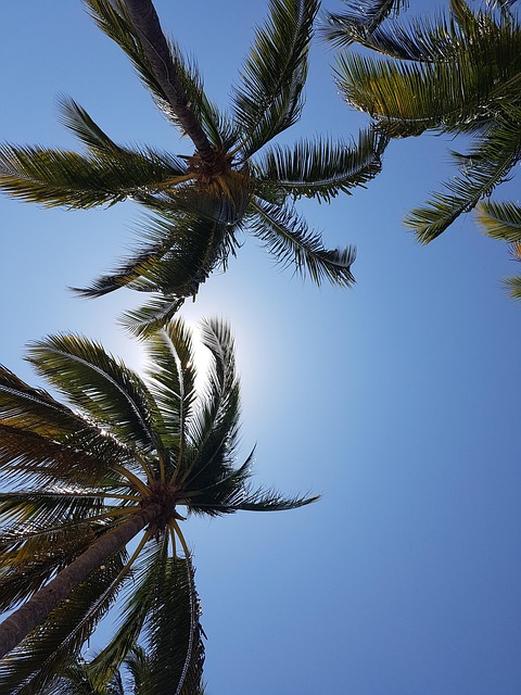 Addiction Treatment Palm Beach: Resources and Success Stories for Recovery