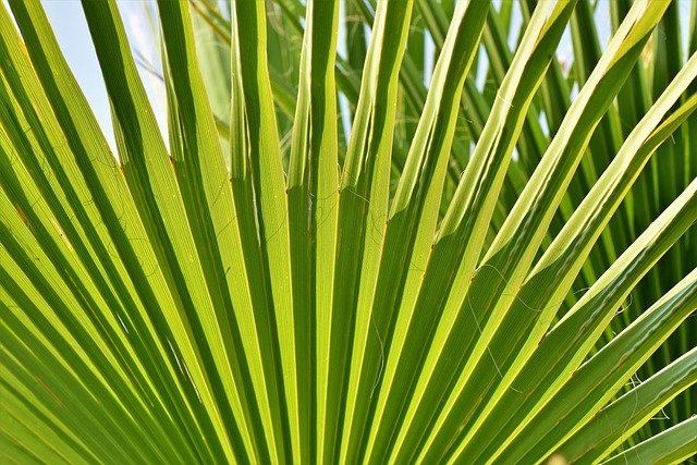 addiction treatment palm beach