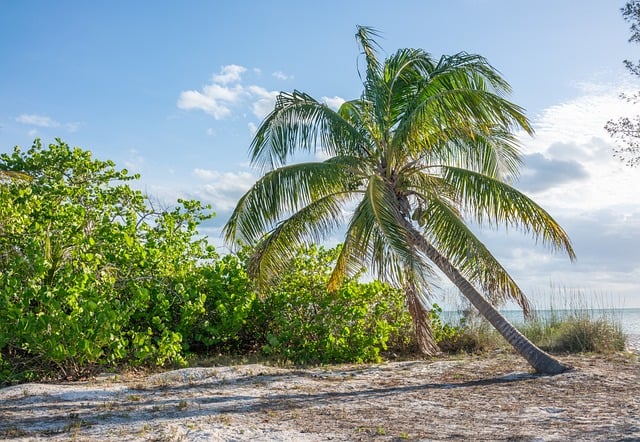 addiction treatment palm beach