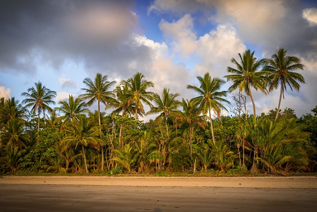 addiction treatment palm beach