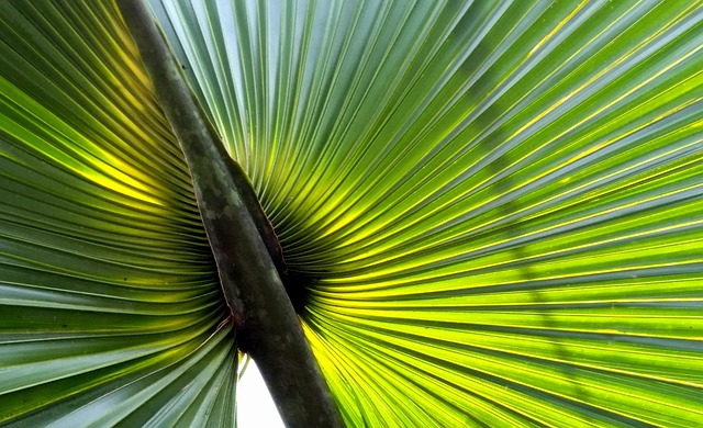 addiction treatment palm beach