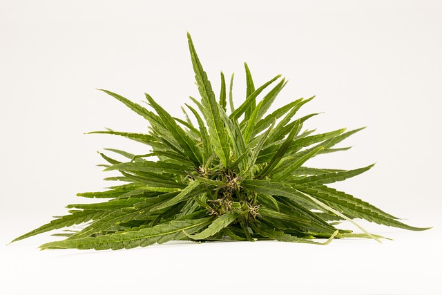 Addiction Treatment Services Indiana