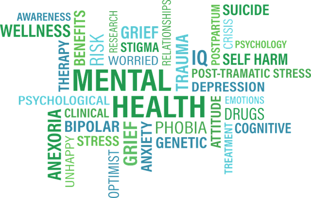 Specialized Bipolar Therapy Programs in Florida for Mood Stabilization