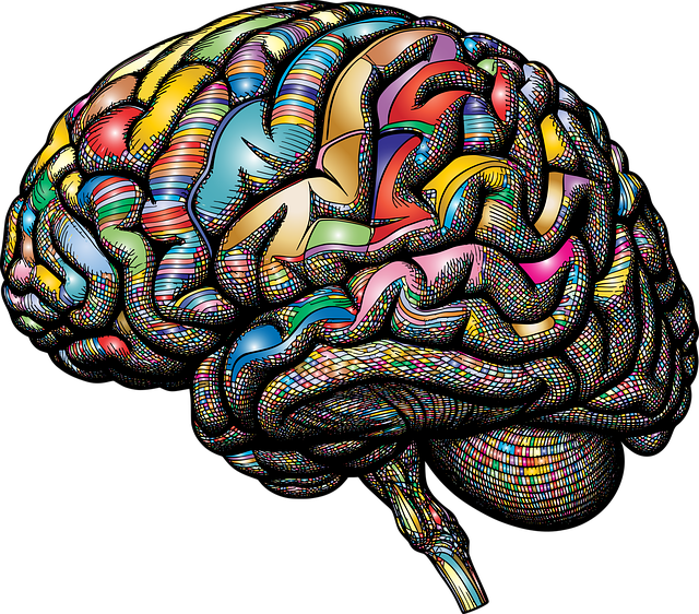 boca raton mental health
