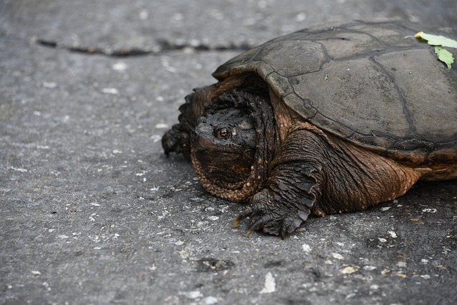 Drug Rehab Indiana