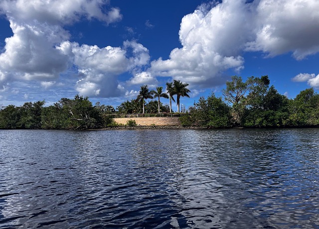 family therapy florida