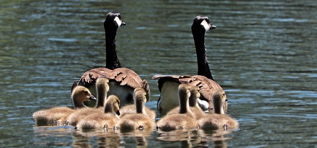 family therapy florida
