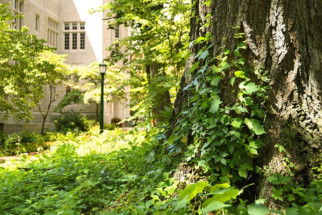 indiana luxury rehab