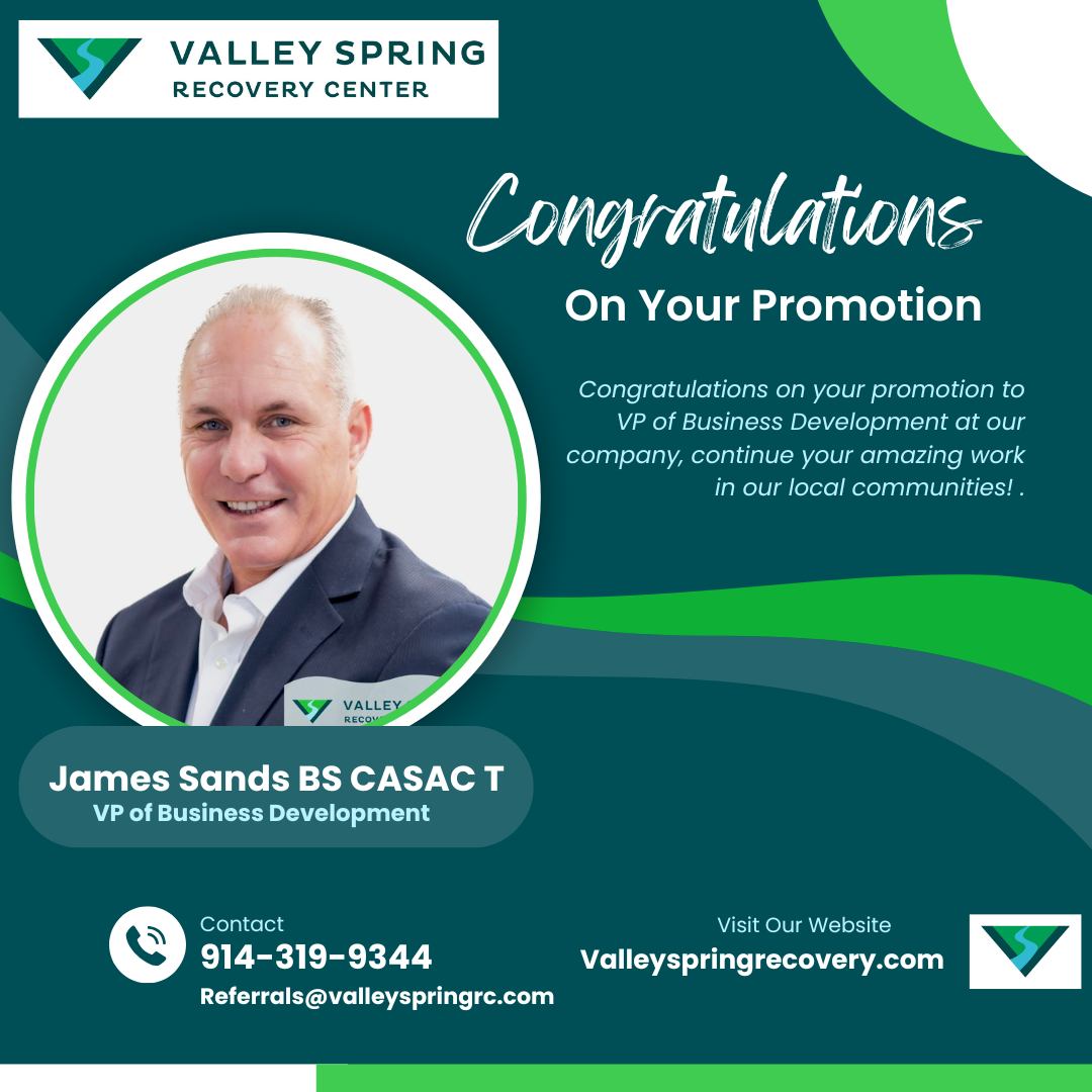 james sands promoted to vice president of business development