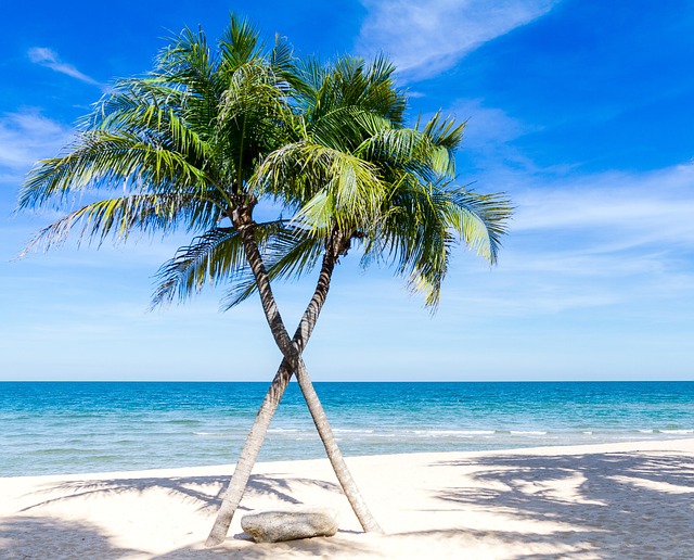 palm beach county rehab