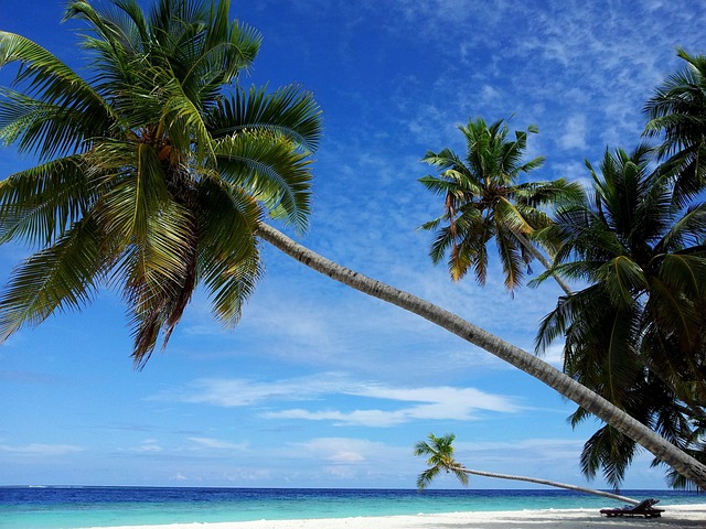 palm beach county rehab