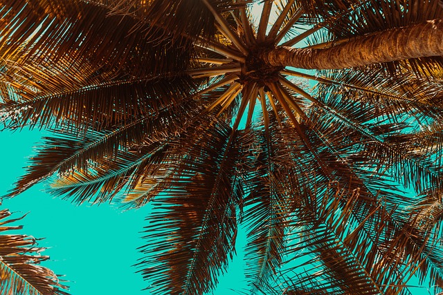 palm beach county rehab