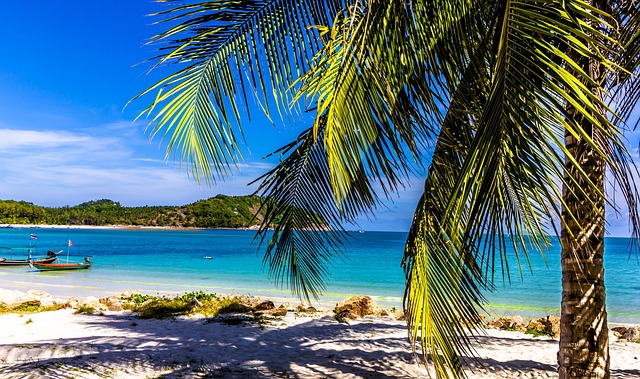 palm beach county rehab
