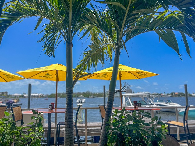 Florida Psychiatrists: Expertise, Medication Management, and Personalized Mental Health Care