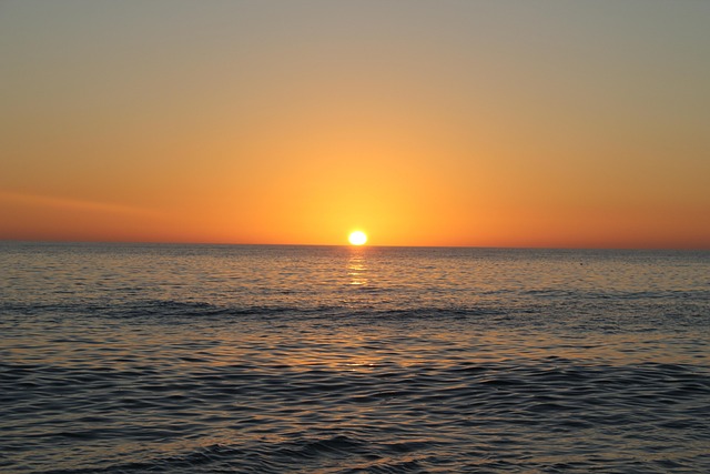 Florida Psychiatrists: Expertise in Medication Management & Mental Health Care