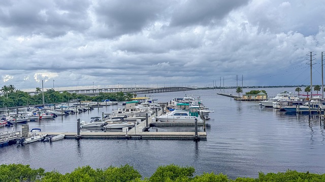 psychiatrist florida