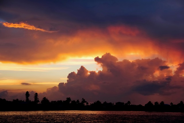 psychiatrist florida