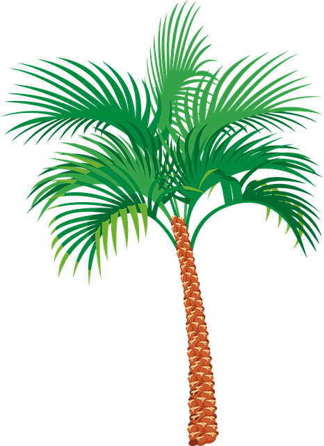 rehab west palm beach