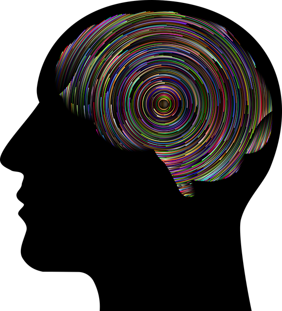 senior mental health florida