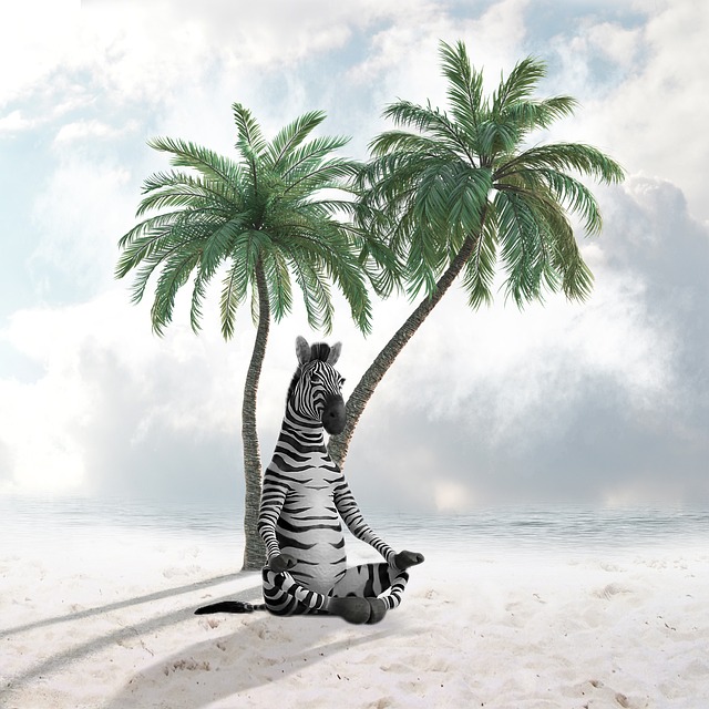 Palm Beach County Rehab: Comprehensive Mental Health & Addiction Resources
