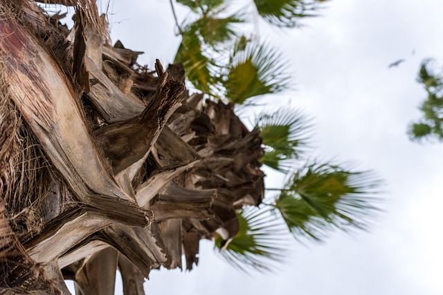 Unveiling Palm Beach County’s Comprehensive Addiction Treatment Resources