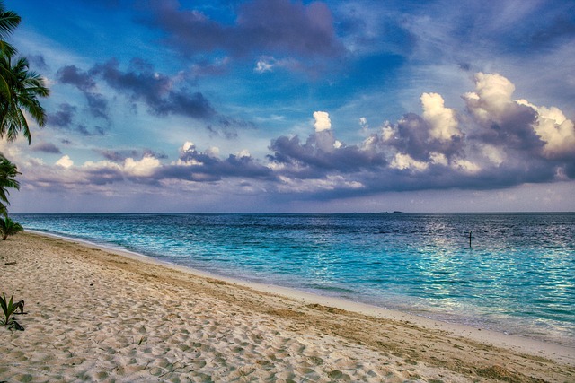 addiction treatment palm beach
