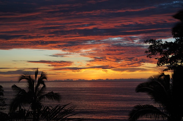 Palm Beach County Rehab: Resources for Mental Health and Addiction Treatment