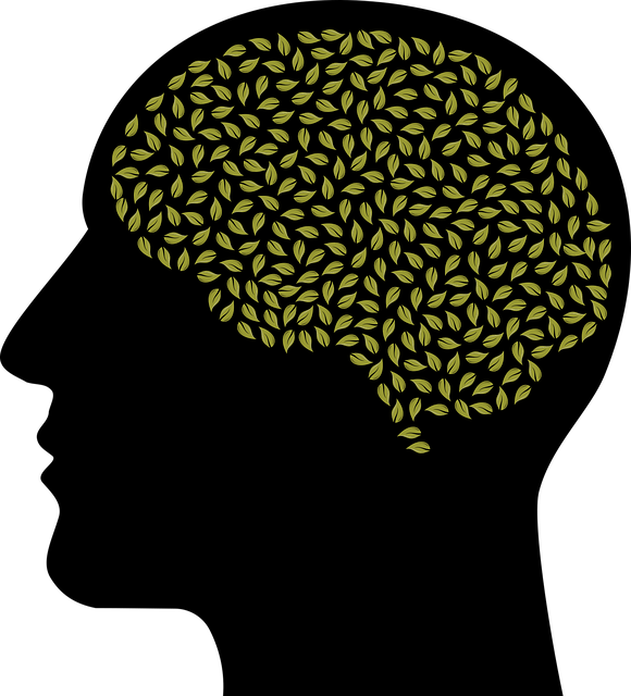 boca raton mental health
