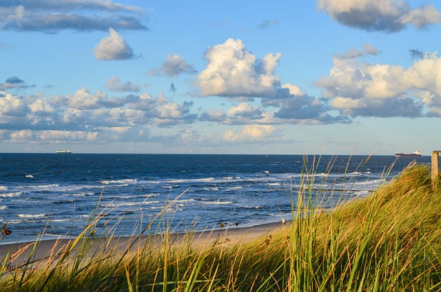 delray beach dual diagnosis