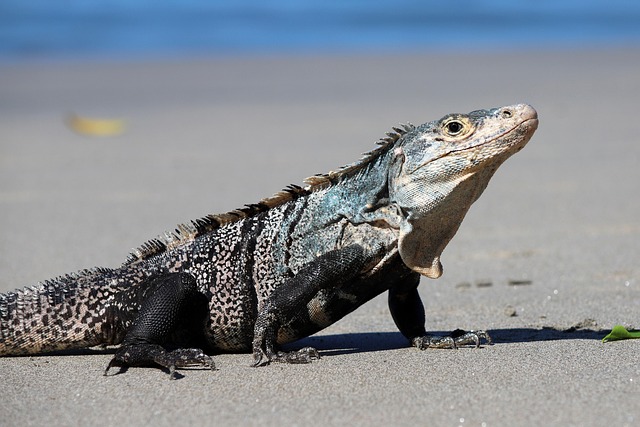 delray-beach-dual-diagnosis-640x480-82184067.jpeg