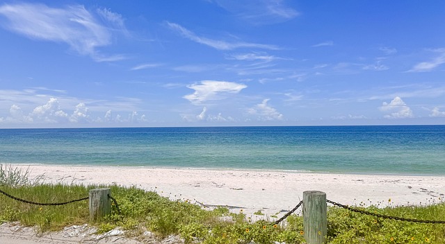 depression treatment florida