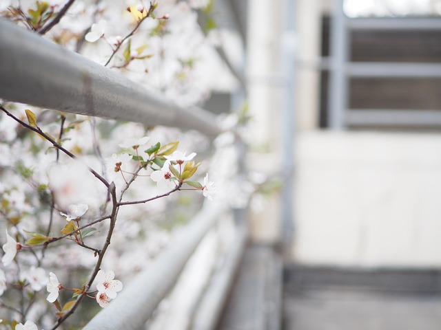 Detox and Lasting Sobriety: Strategies from Fort Lee, NJ