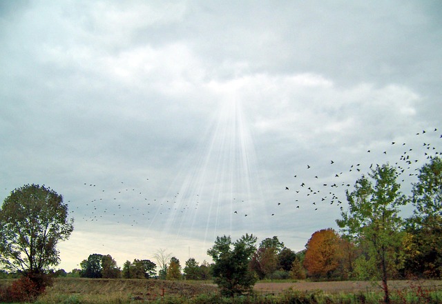 Drug Addiction Statistics Indiana