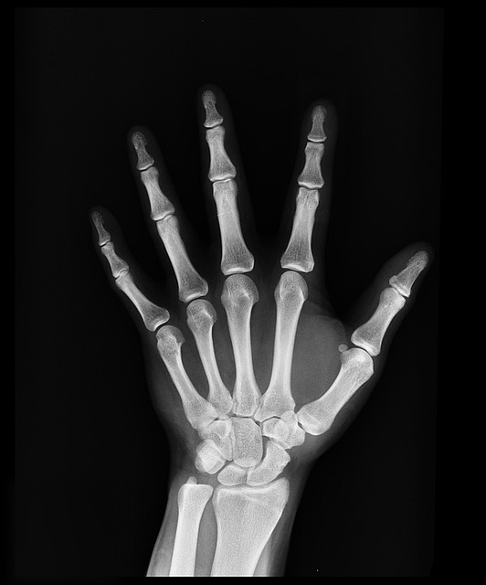 Dual Diagnosis Centers Rivervale New Jersey