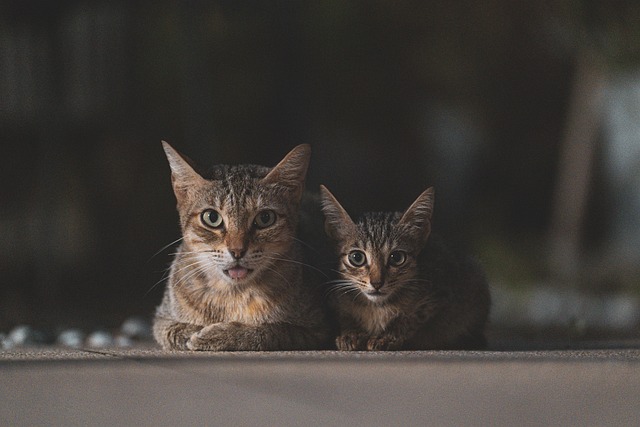 family-intervention-640x480-13788789.jpeg