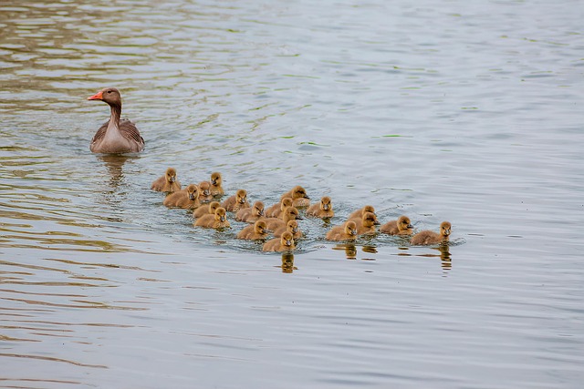 Family Intervention