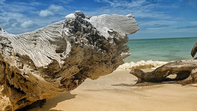 intensive outpatient program florida