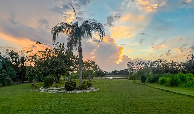 IOP south florida