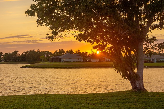 IOP south florida