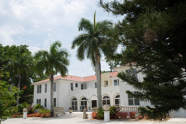 IOP south florida