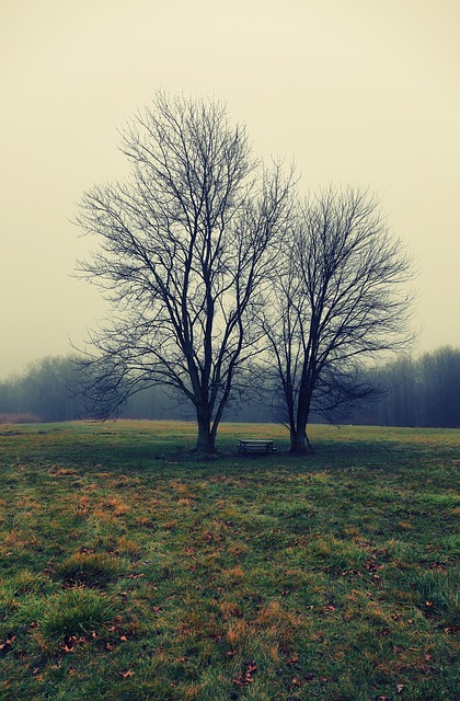 MAT Clinics in Fort Lee, NJ: Supporting Adult Mental Wellness