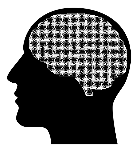 online mental health florida
