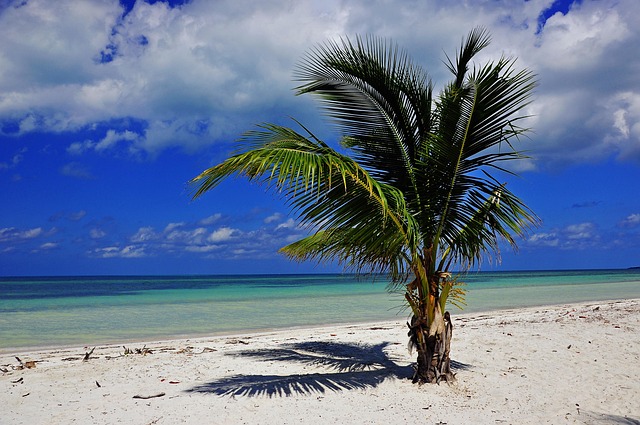 palm beach county rehab