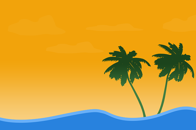 palm beach county rehab
