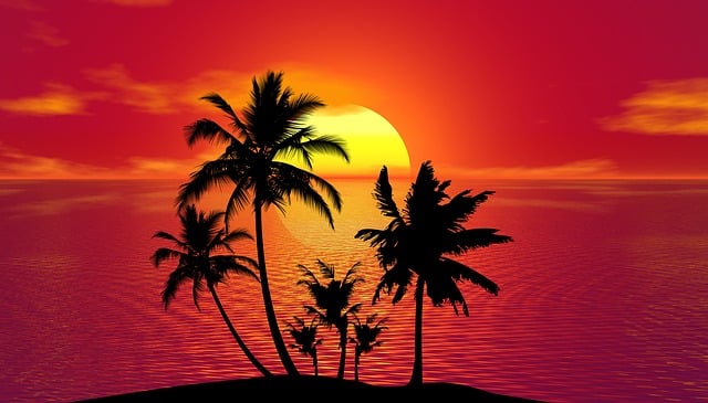 palm beach county rehab