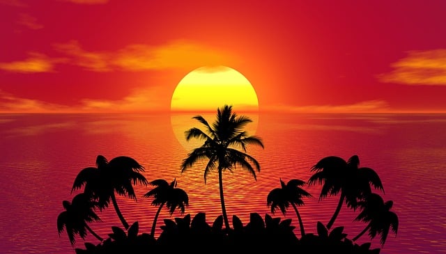 palm beach county rehab