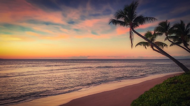 palm beach county rehab