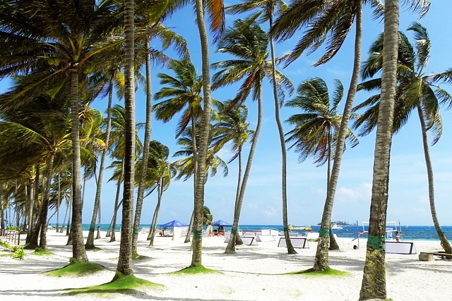 Addiction Treatment Palm Beach: Comprehensive Resources for Mental Health Recovery