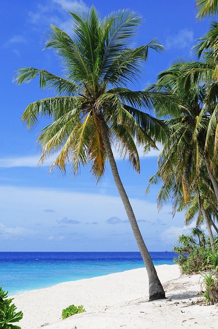 palm beach county rehab
